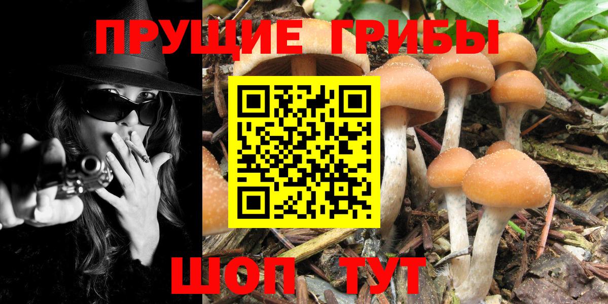 Галлюциногенные грибы мицелий Спасск-Дальний