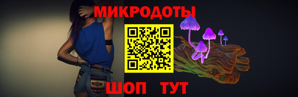 Псилоцибиновые грибы мухоморы  где купить наркоту  Спасск-Дальний  Вход с VPN  Псилоцибиновые грибы мицелий 